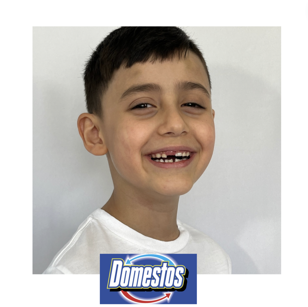 DOMESTOS